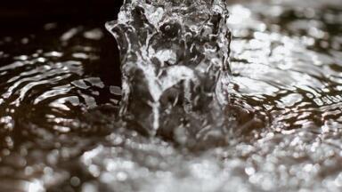 How Do Antiseptic Ingredients Affect the Environment? - Chromatography Explores